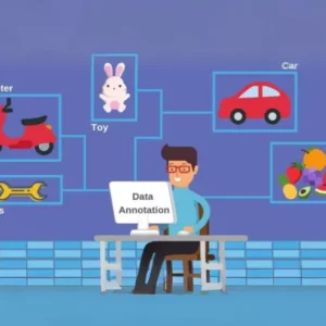 Data Labeling & Annotation Services